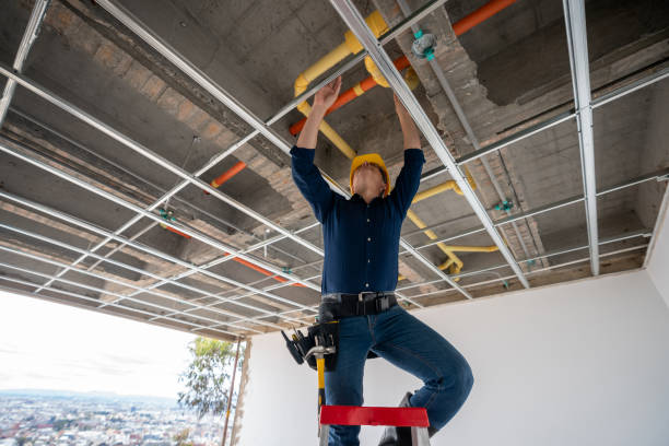 Best Leak Detection Services  in Jacksonvle, IL